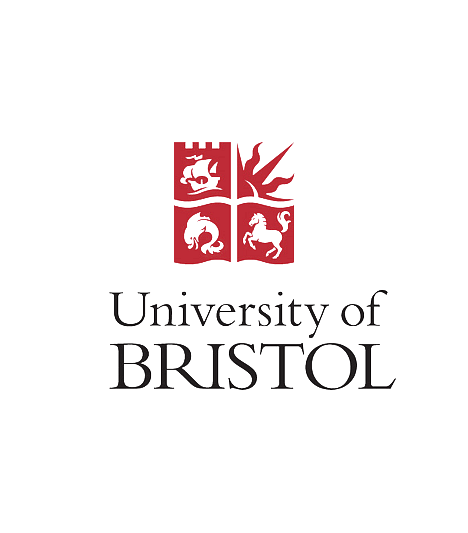 University of Bristol Students - ChatEssays - for online assignment help